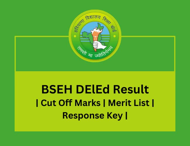 BSEH DElEd Result