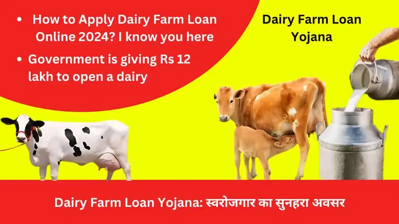 Dairy Farm Loan Yojana Golden opportunity for self employment