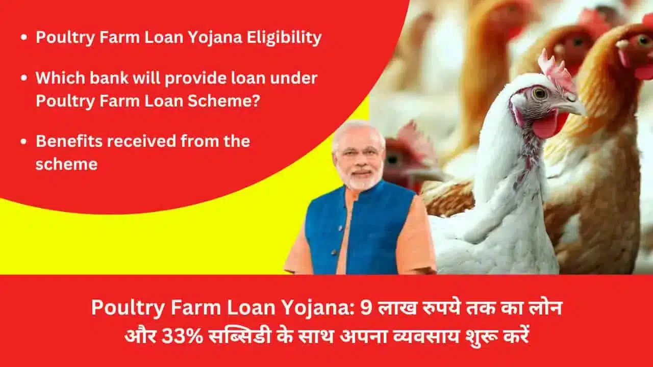 Poultry Farm Loan Yojana Start your business with loan up to Rs 9 lakh and 33 subsidy