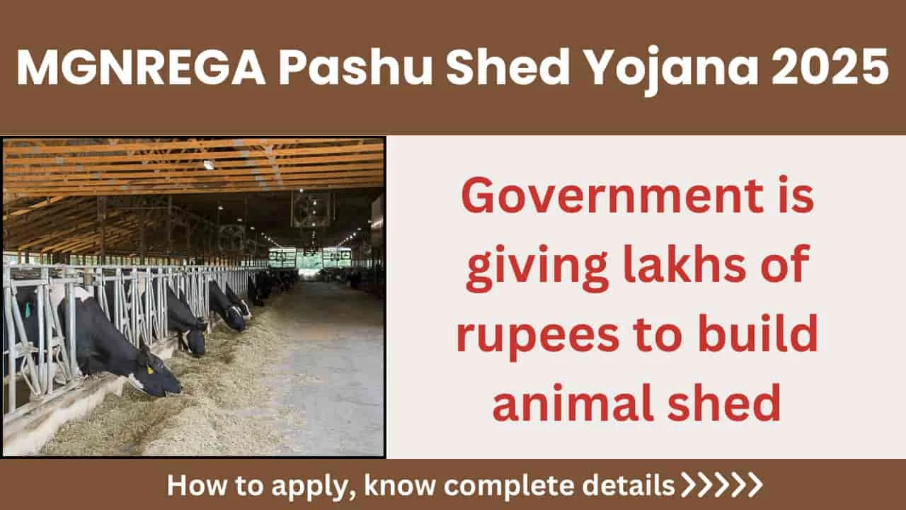 MGNREGA Pashu Shed Yojana 2025 Golden opportunity for rural cattle farmers